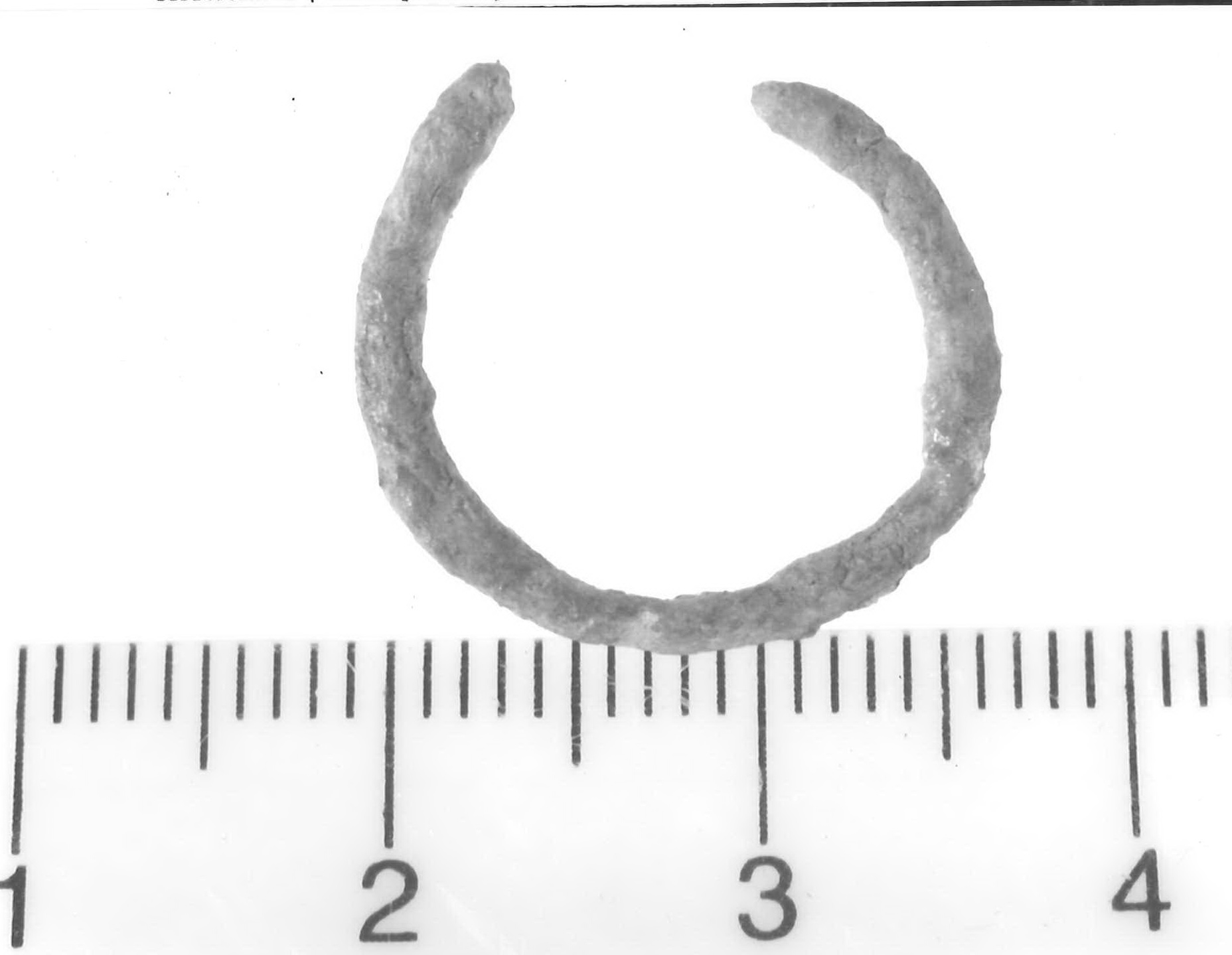 orecchino - Piceno V (fine sec. V a.C)