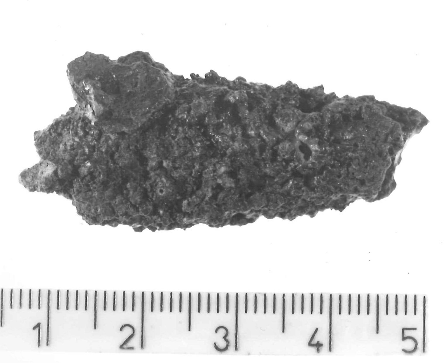 pendente lanceolato - Piceno IV B (sec. VI a.C)