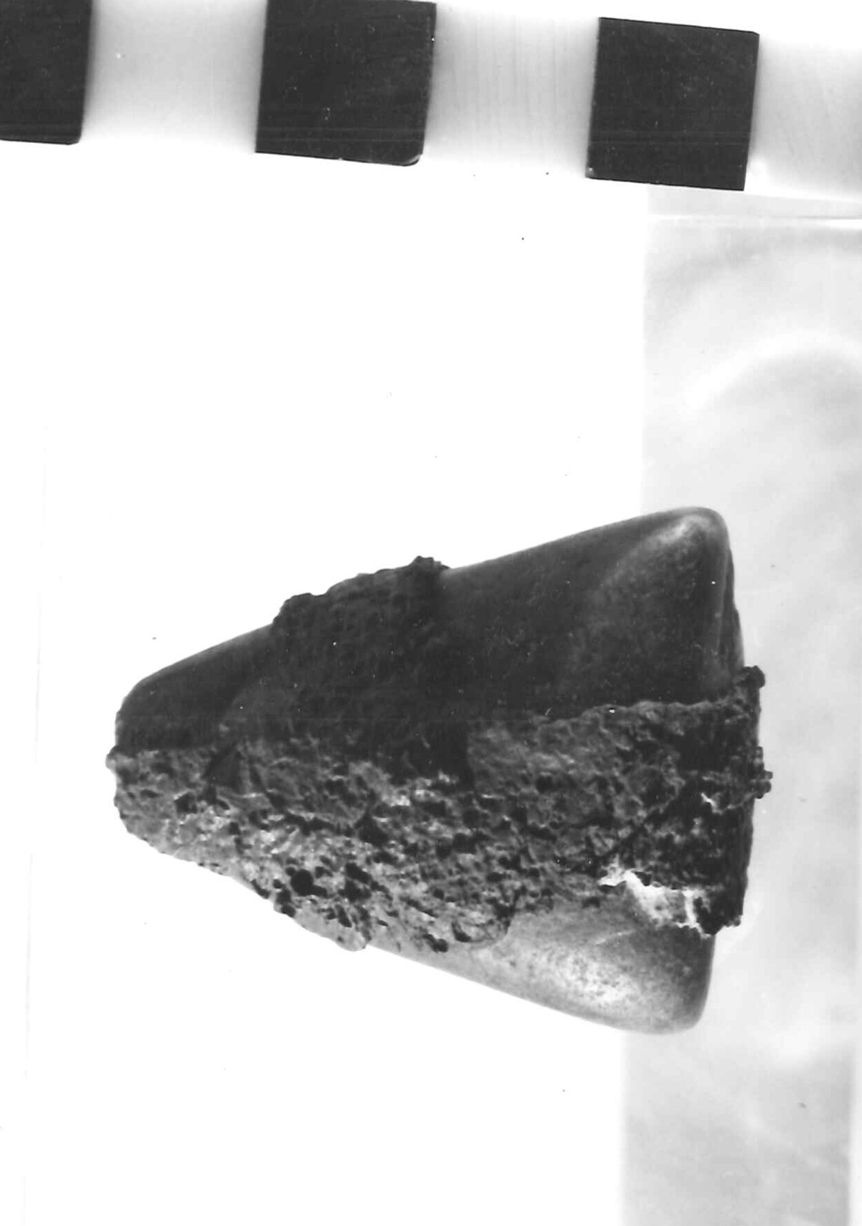 pendene triangolare - Piceno IV B (sec. VI a.C)
