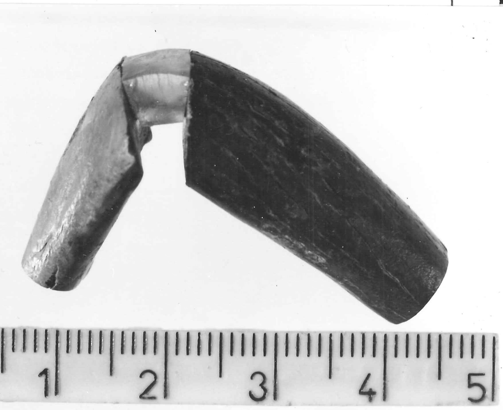 fibula ad arco rivestito - Piceno IV B (sec. VI a.C)