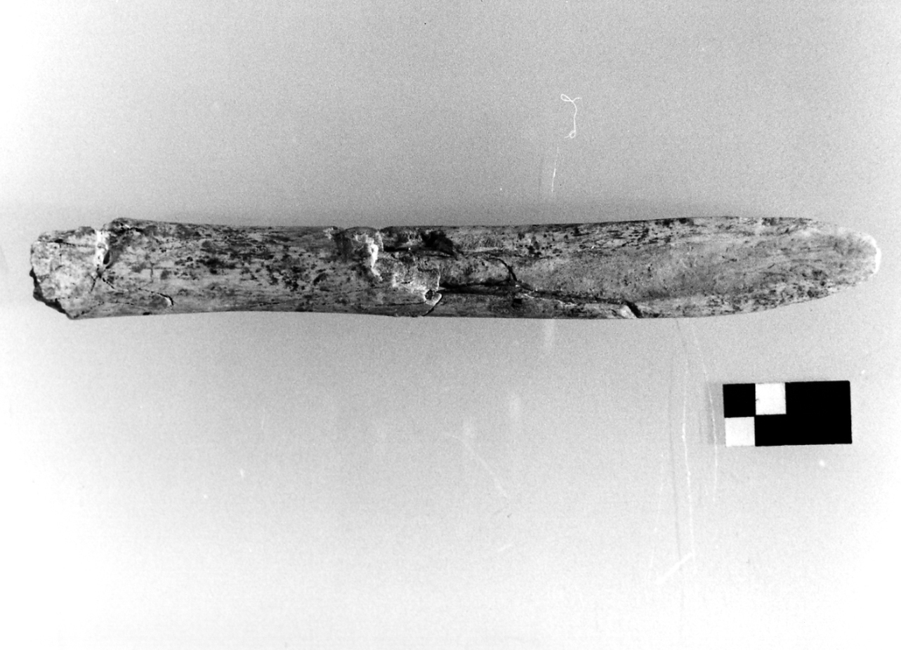 punta a taglio sbiecato - eneolitico (prima metà III millennio a.C)