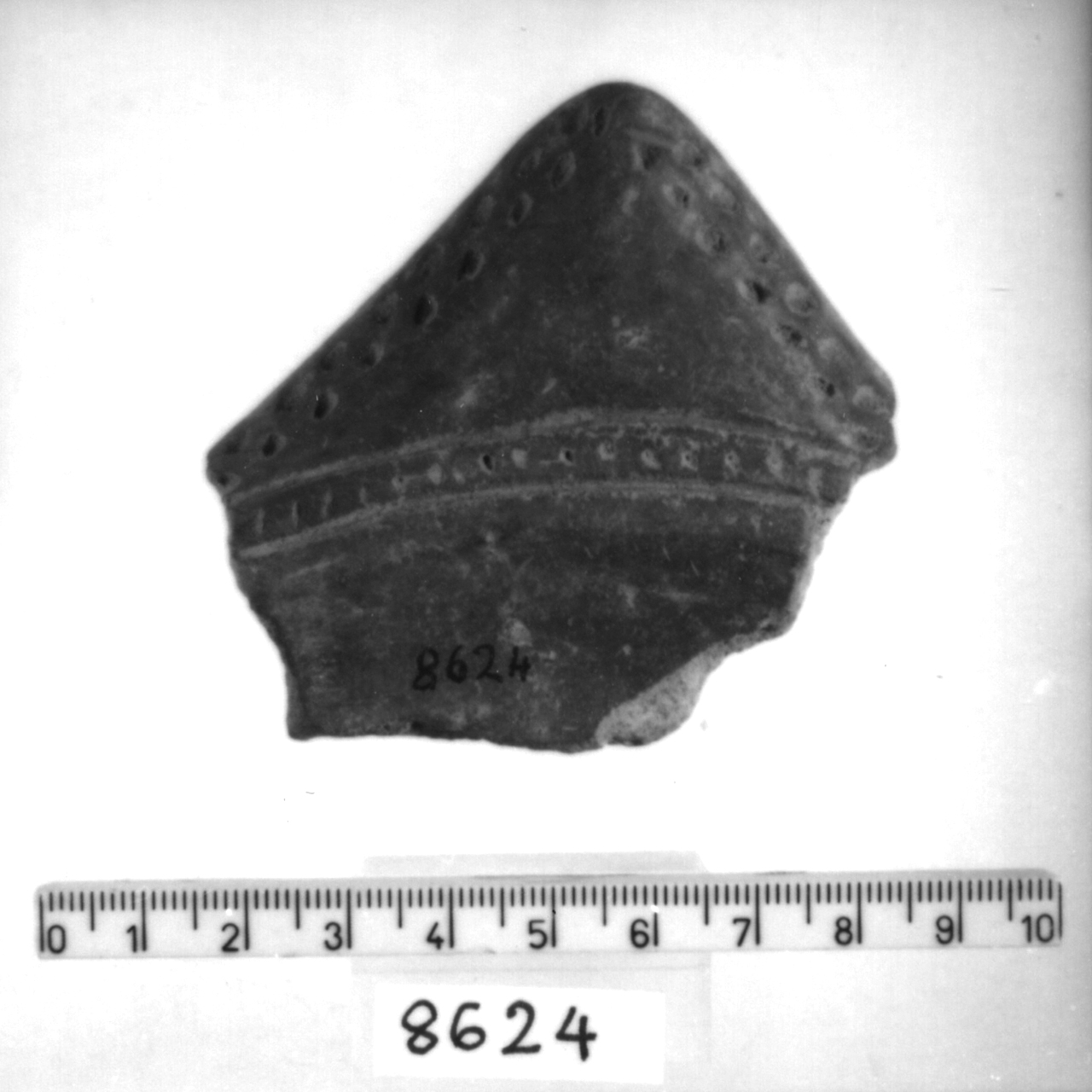presa triangolare/ frammento - facies appenninica (Bronzo medio 3)
