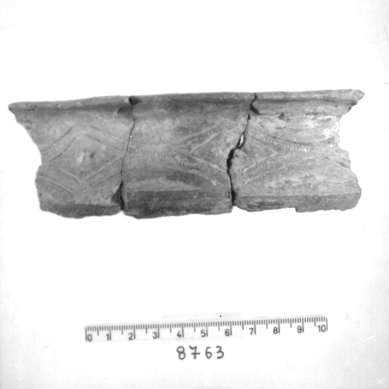 ciotola carenata/ frammento, Cocchi, tipo 295 B - facies appenninica (Bronzo medio 3)