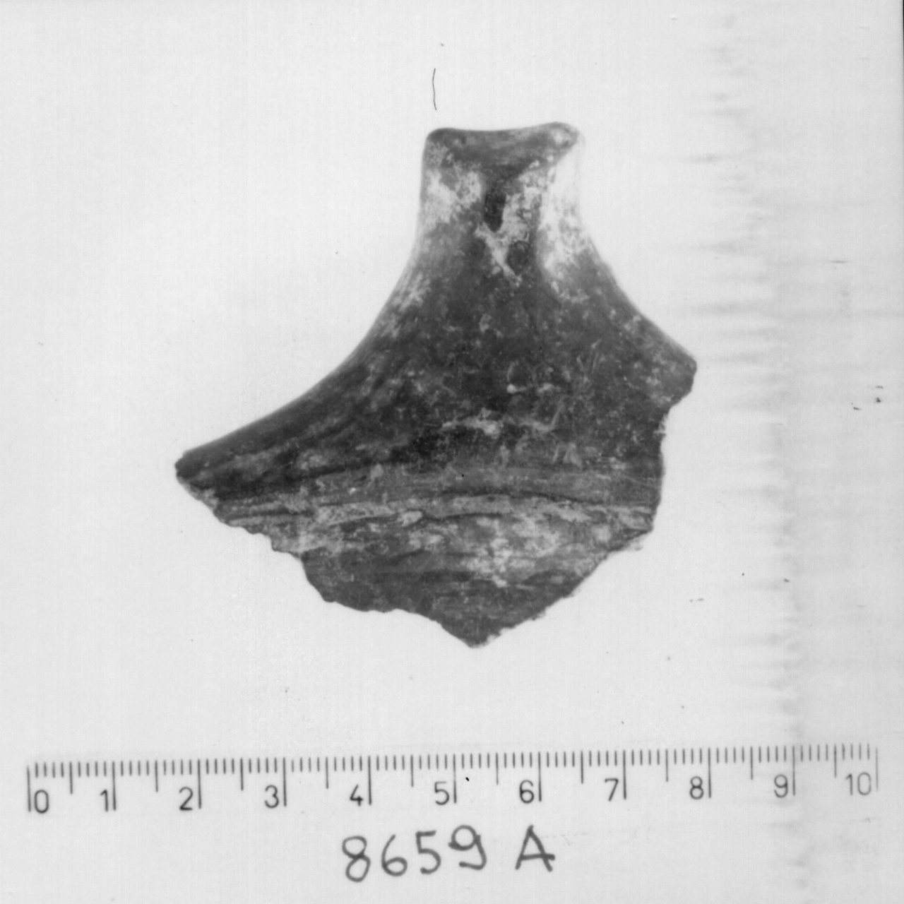 presa triangolare/ frammento (Bronzo medio 3)
