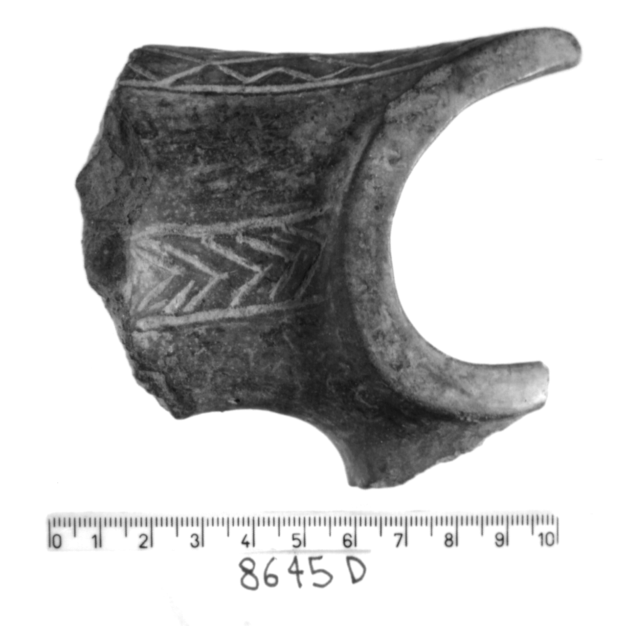 manico a nastro con apici revoluti/ frammento, Cocchi, tipo 571 - facies appenninica (Bronzo medio 3)