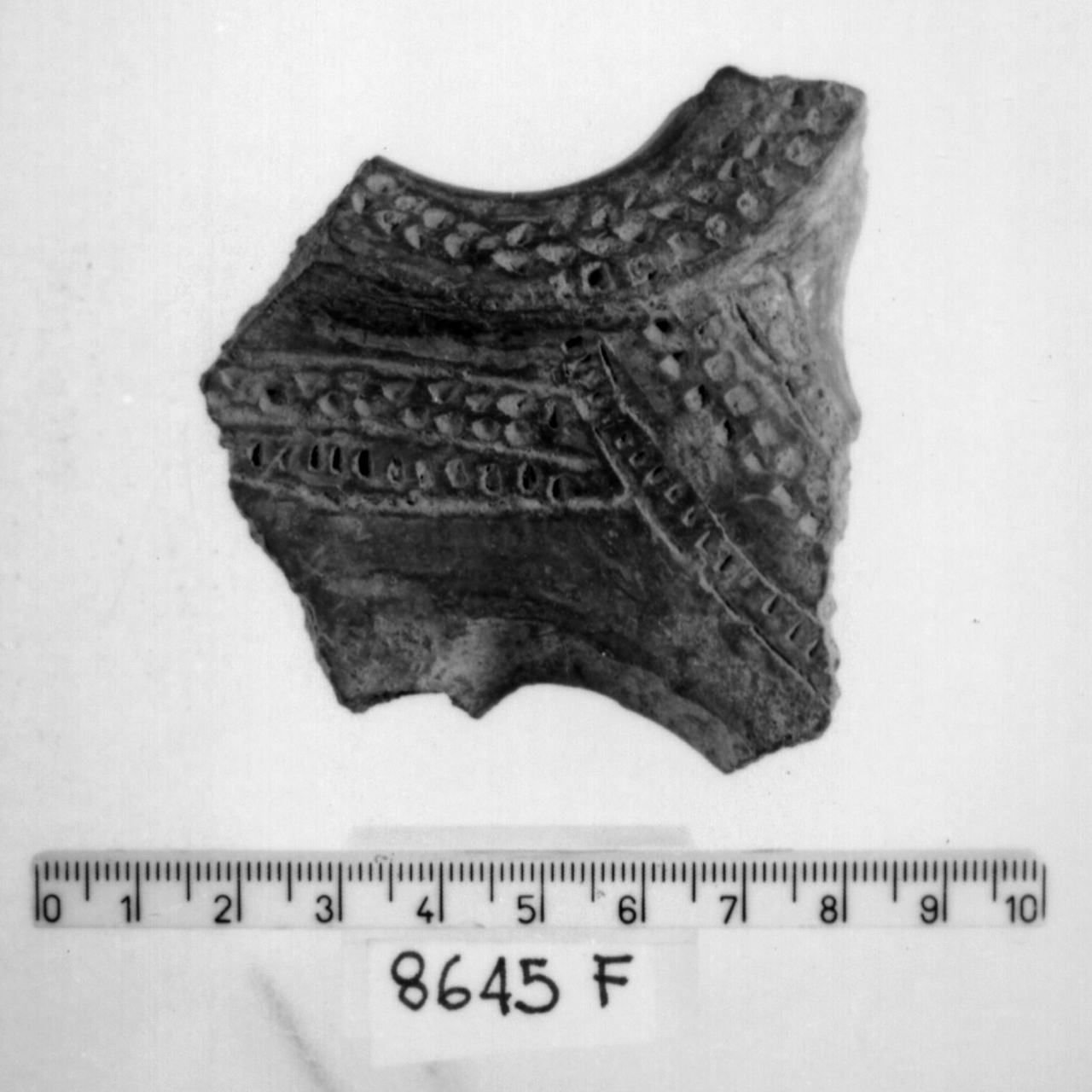 manico a nastro con apici revoluti/ frammento, Cocchi, tipo 573 - facies appenninica (Bronzo medio 3)