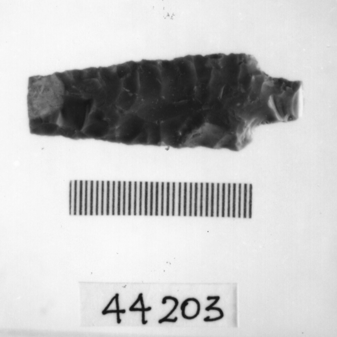 punta foliata a doppio cran (Eneolitico)