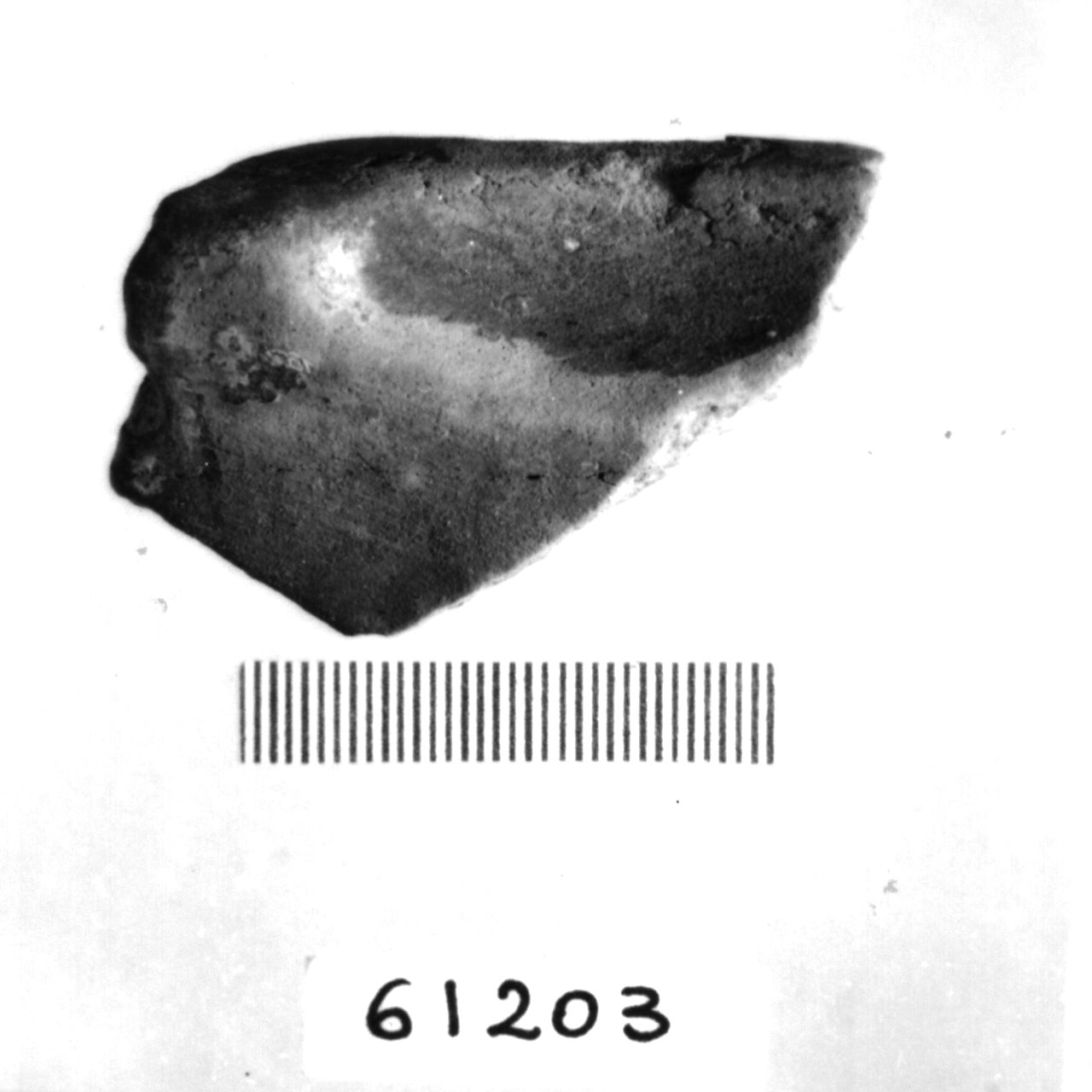 orlo/ frammento (Eneolitico)