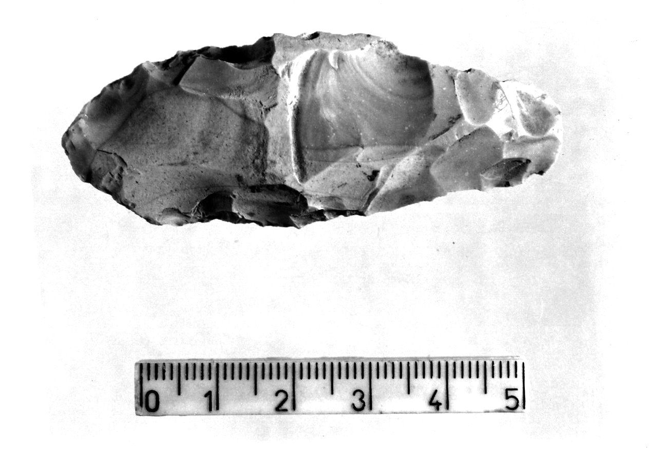 picco - tecnica campignana (Eneolitico)