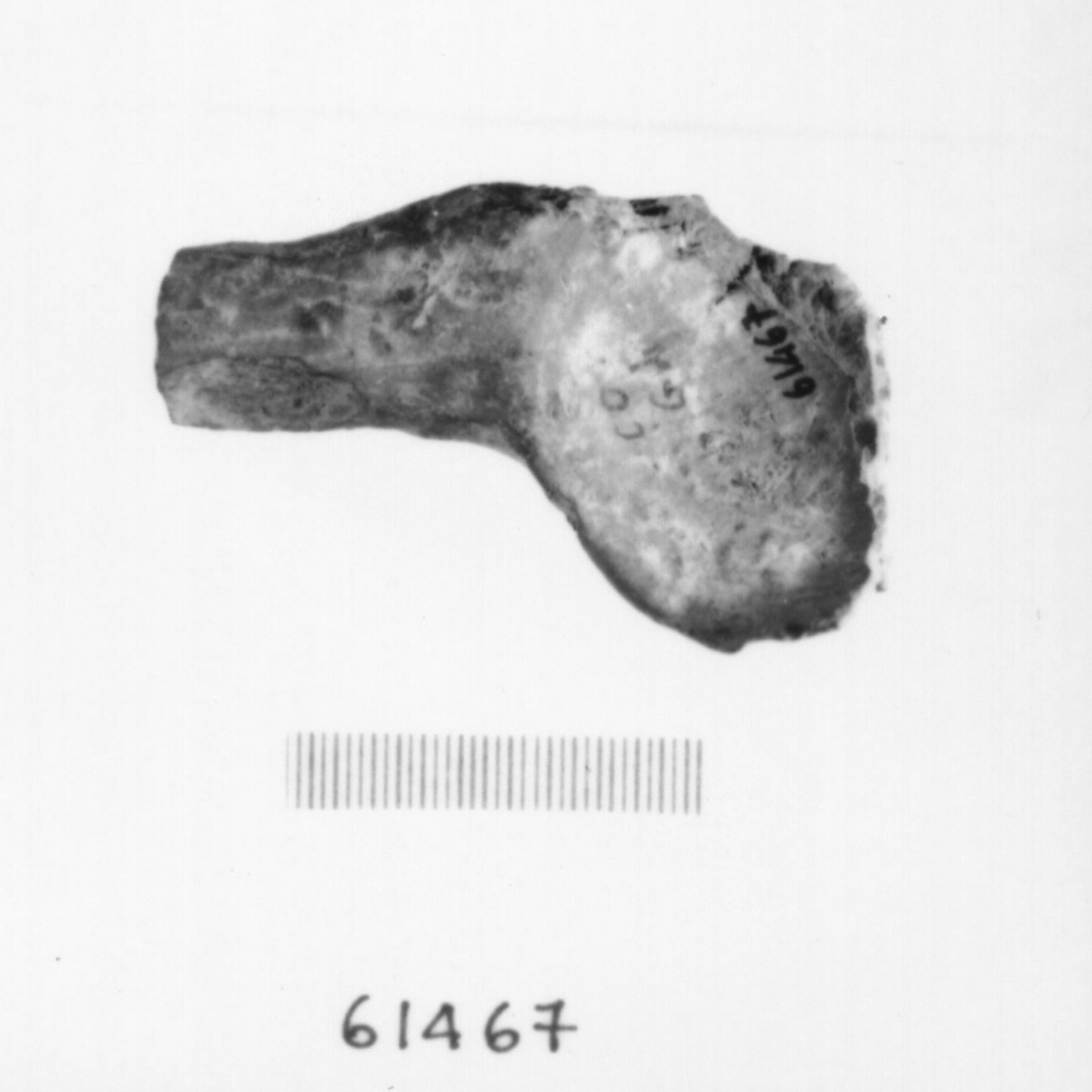cucchiaio/ frammento (Eneolitico)