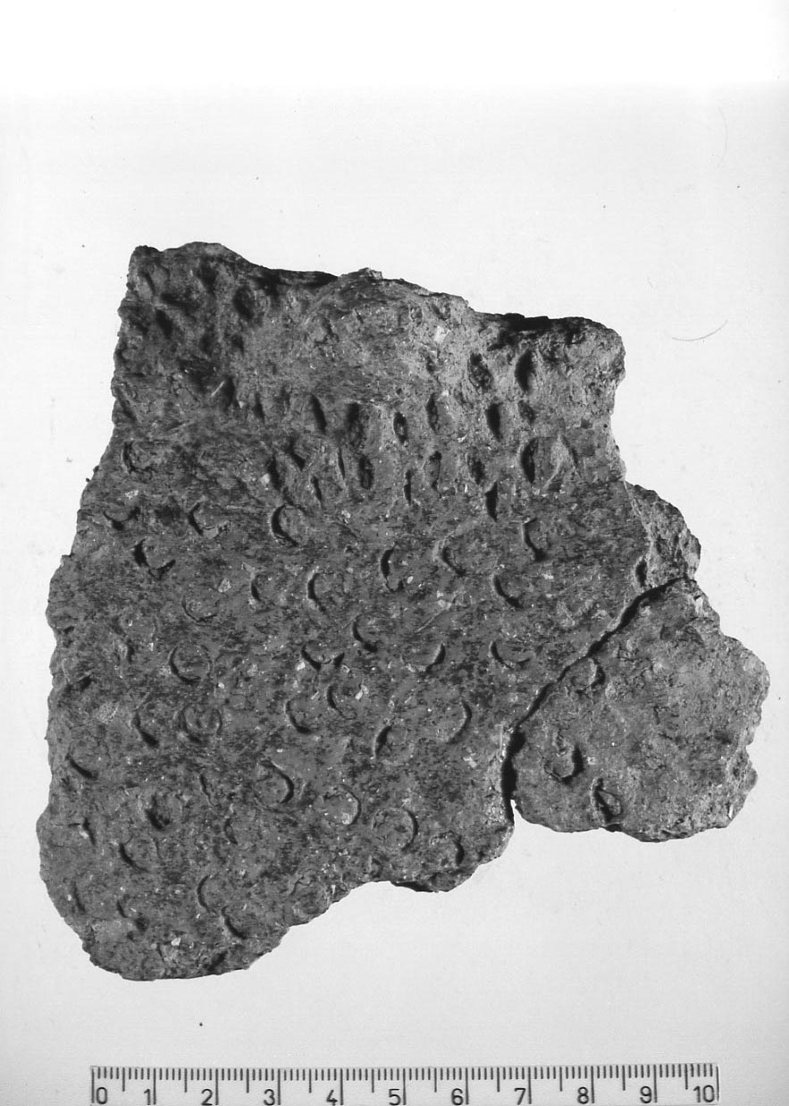 olla con presa/ frammento (Neolitico)
