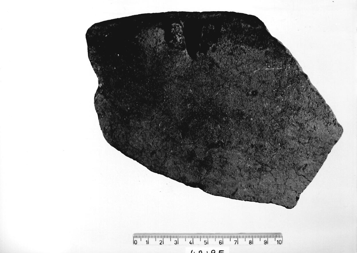 scodellone/ frammento (Neolitico)