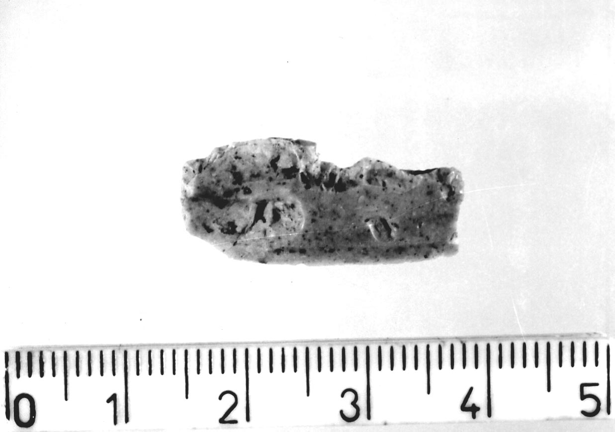 lama non ritoccata/ frammento (Neolitico)