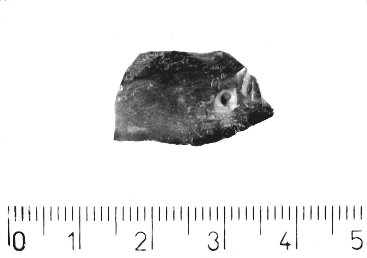 lamella non ritoccata/ frammento (Neolitico)