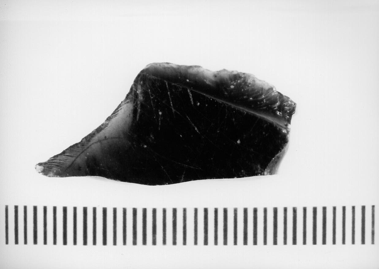 bulino semplice su ritocco d'arresto/ frammento (Neolitico)