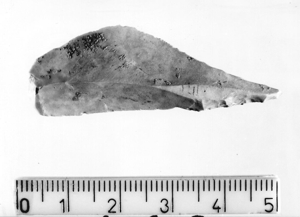 becco punta (Neolitico)