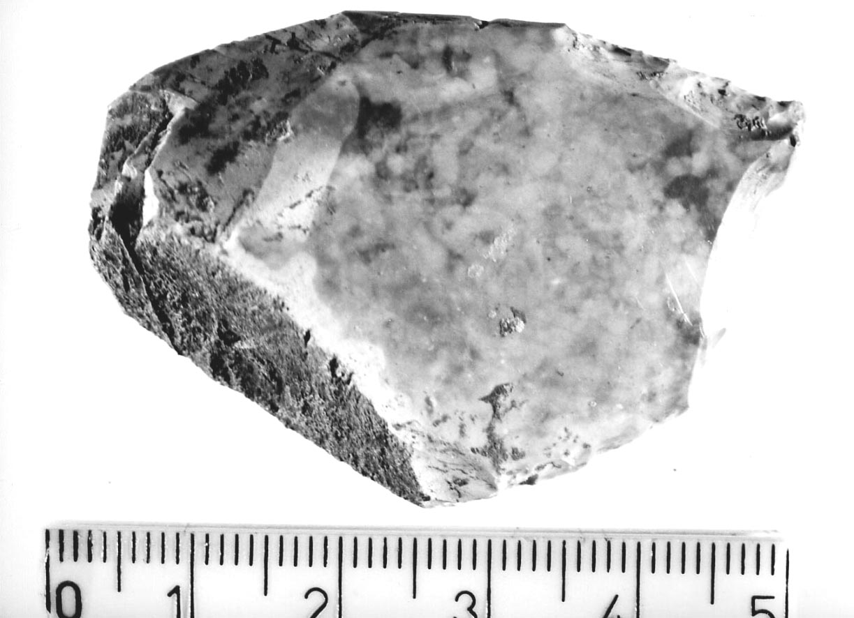 becco punta (Neolitico)
