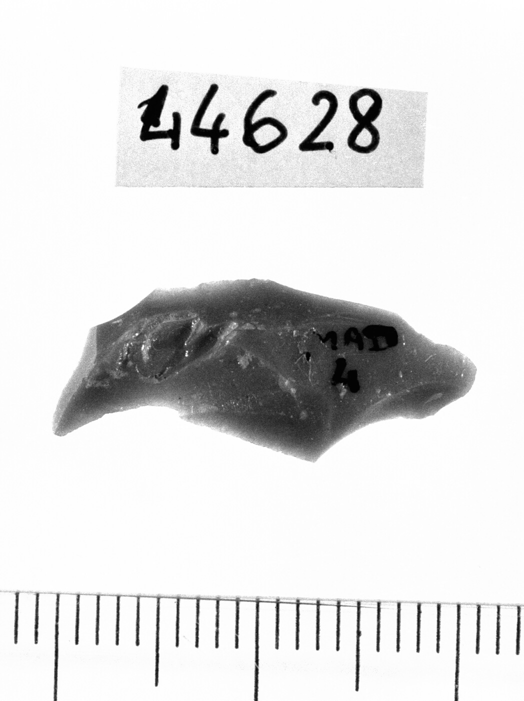 microbulino (Neolitico)