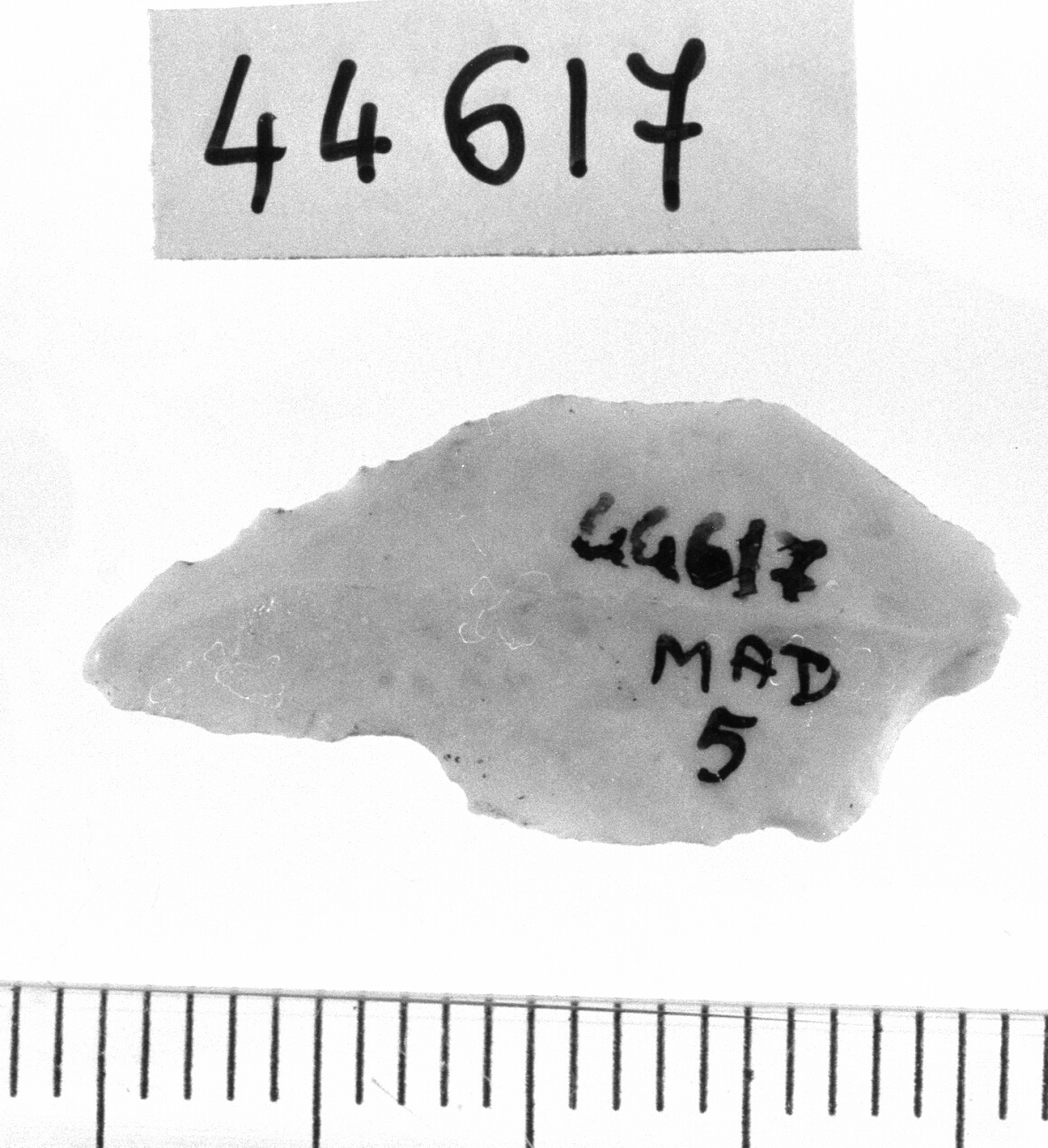 microbulino opposto a ritocco marginale (Neolitico)