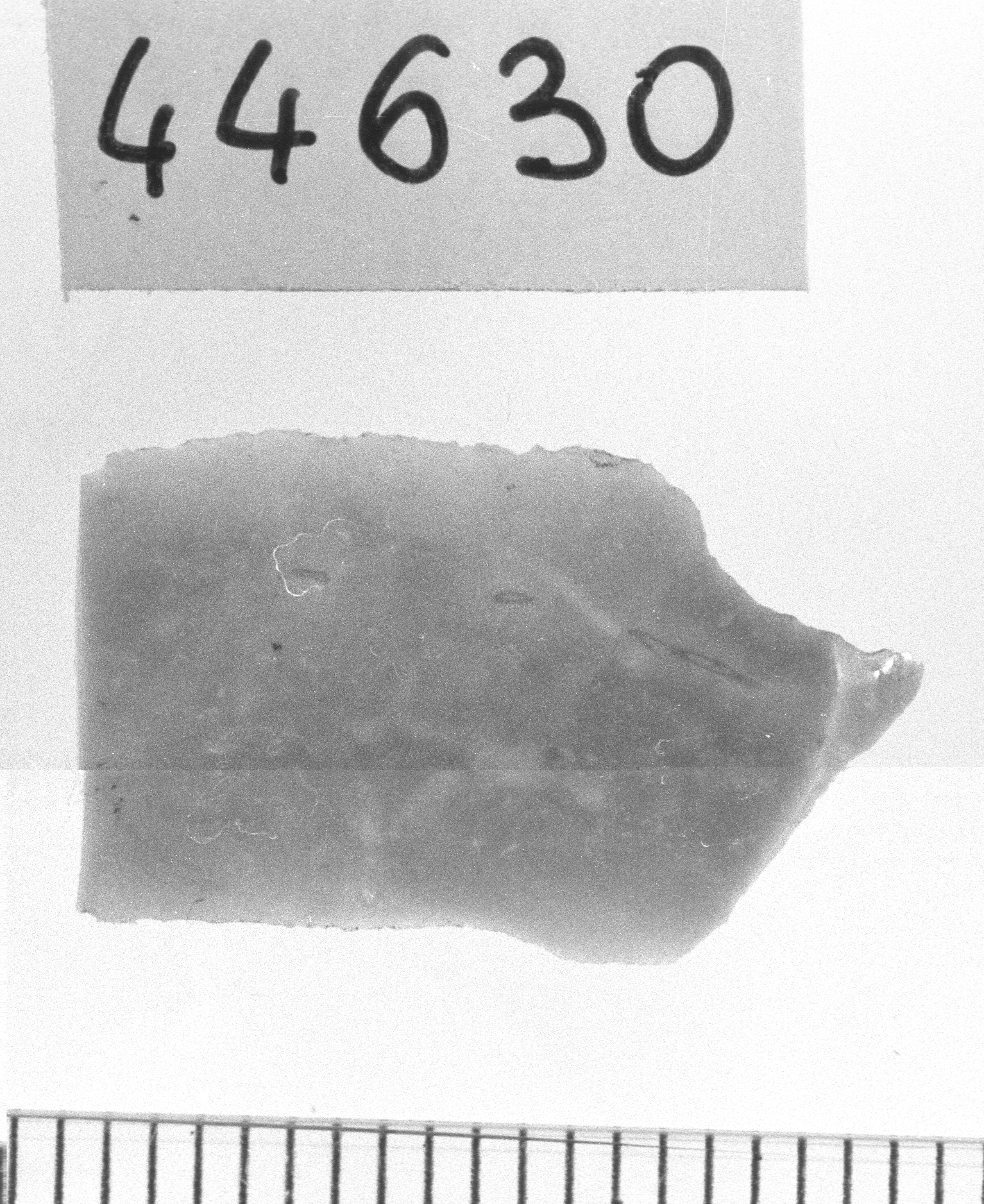microbulino/ frammento (Neolitico)