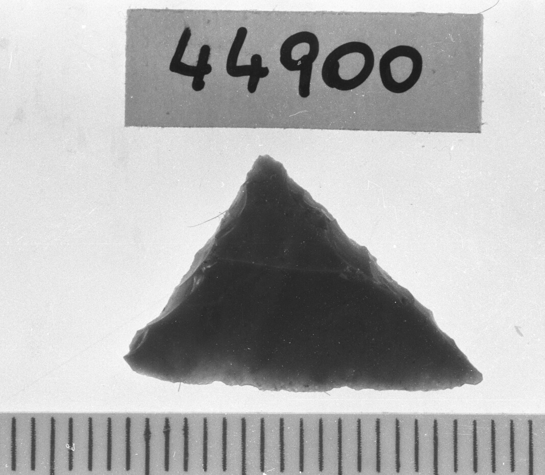 triangolo scaleno (Neolitico)
