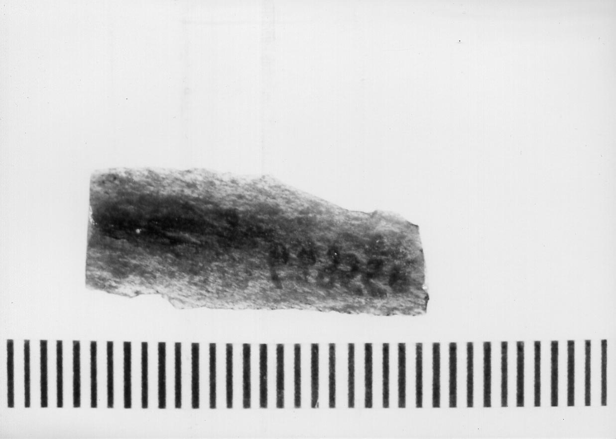 lamella non ritoccata/ frammento (Neolitico)