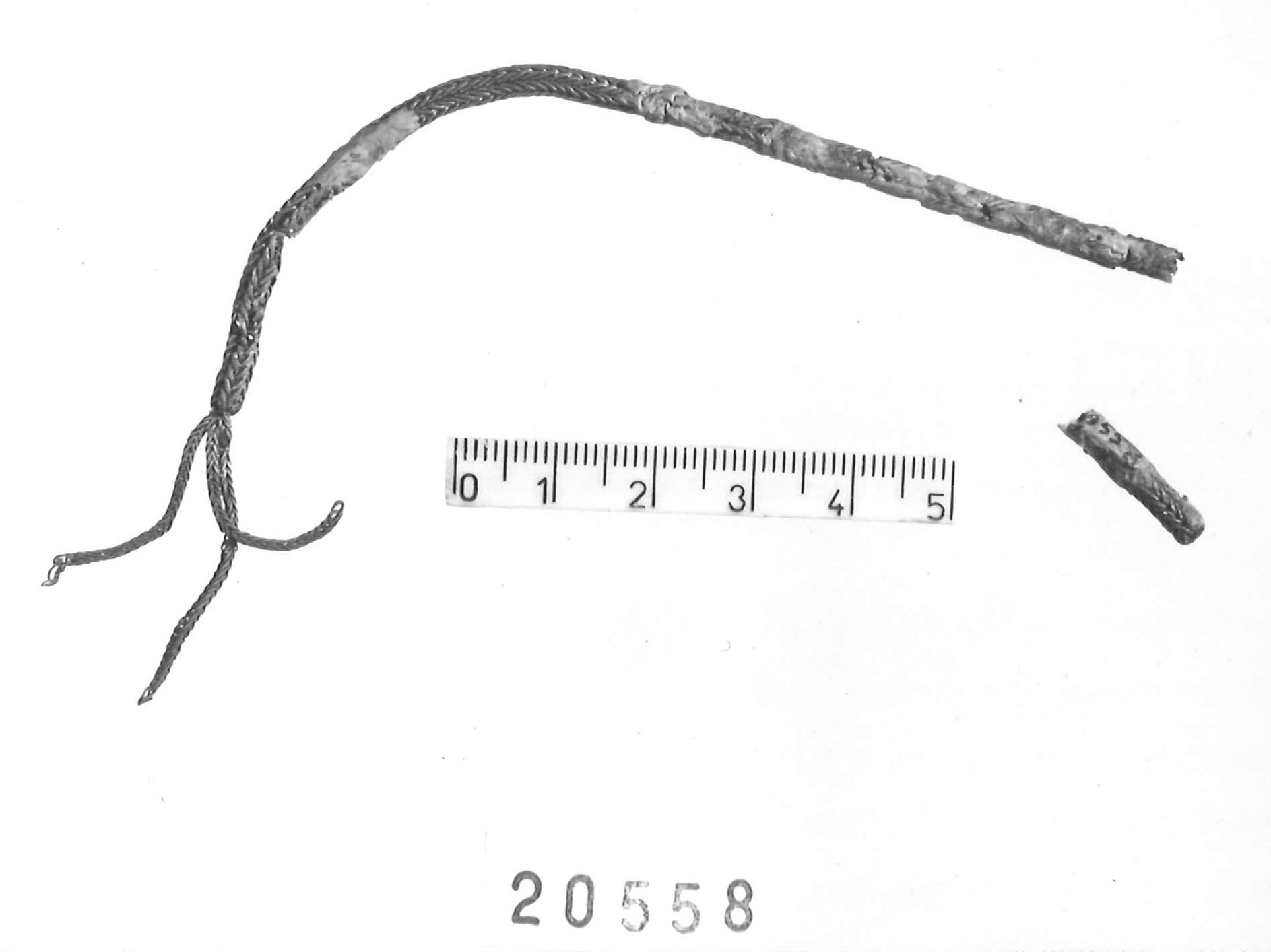 catenella - Piceno III (secc. VII-VI a.C)