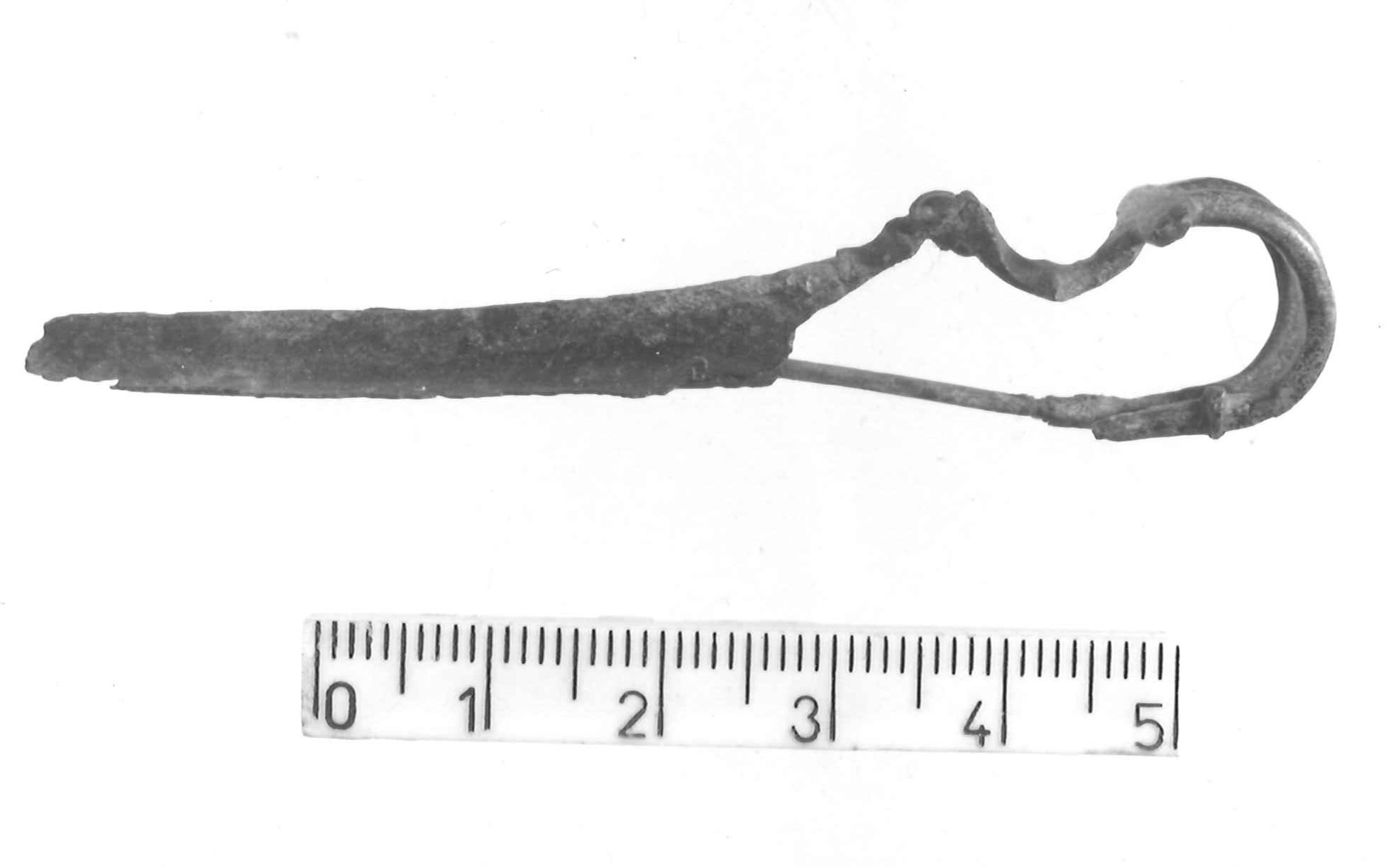 fibula a drago con ardiglione bifido - Piceno III (secc. VII-VI a.C)