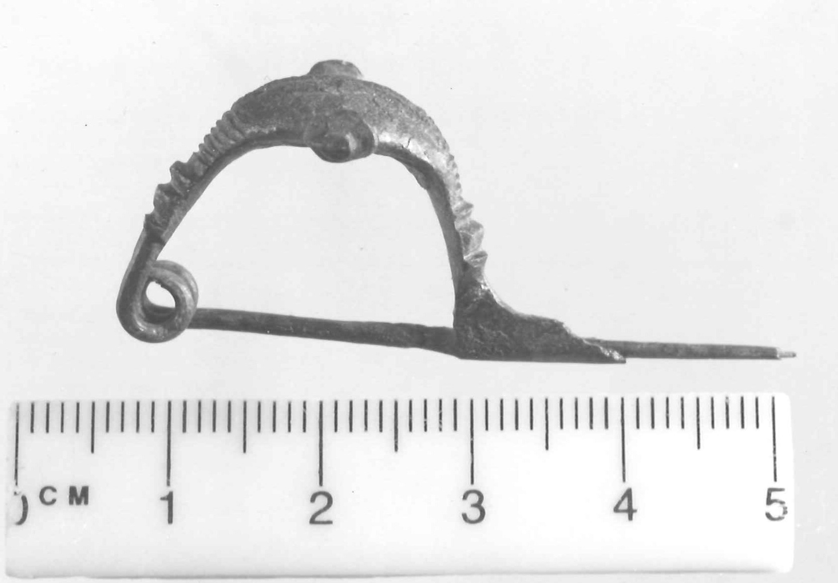 fibula a sanguisuga con due castoni - Piceno III (secc. VII-VI a.C)