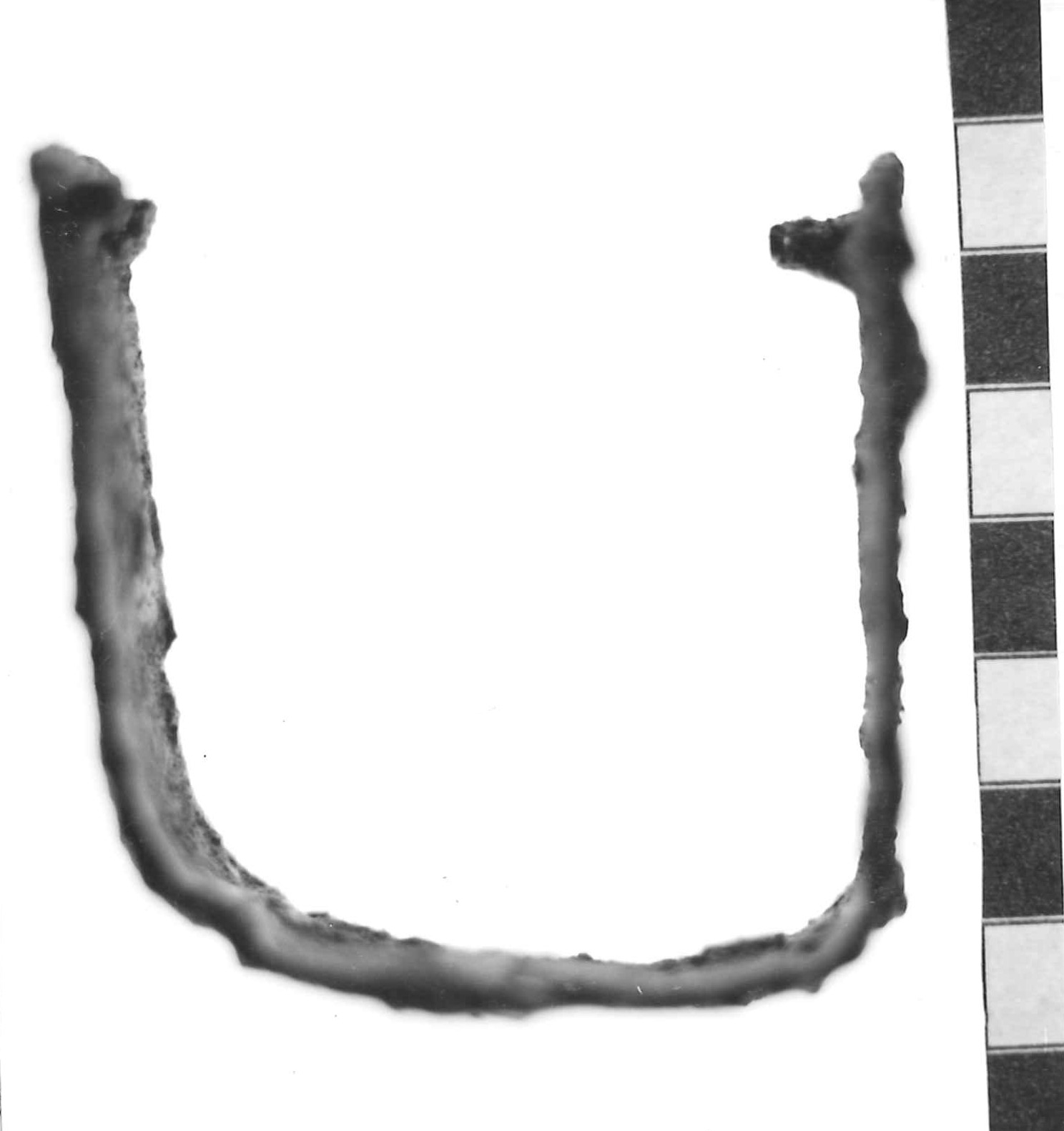 staffa - Piceno III (secc. VII-VI a.C)