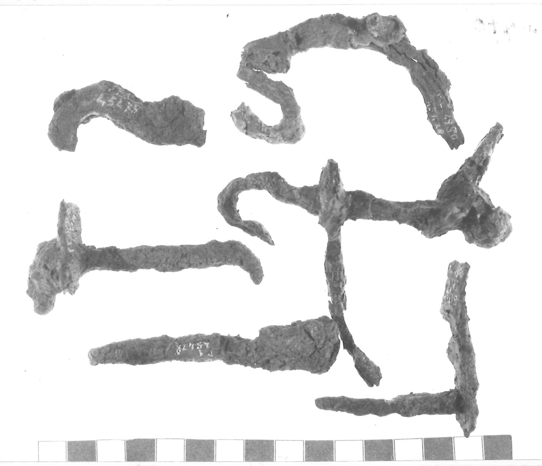 morso equino/ serie - Piceno III (secc. VII-VI a.C)