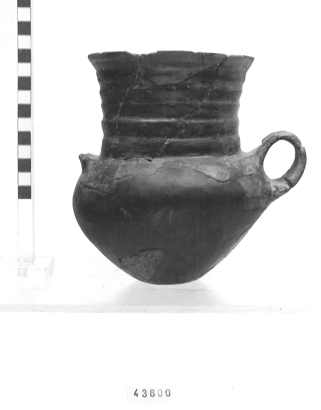 anforetta, tipo "Moie" - Piceno III (secc. VII-VI a.C)