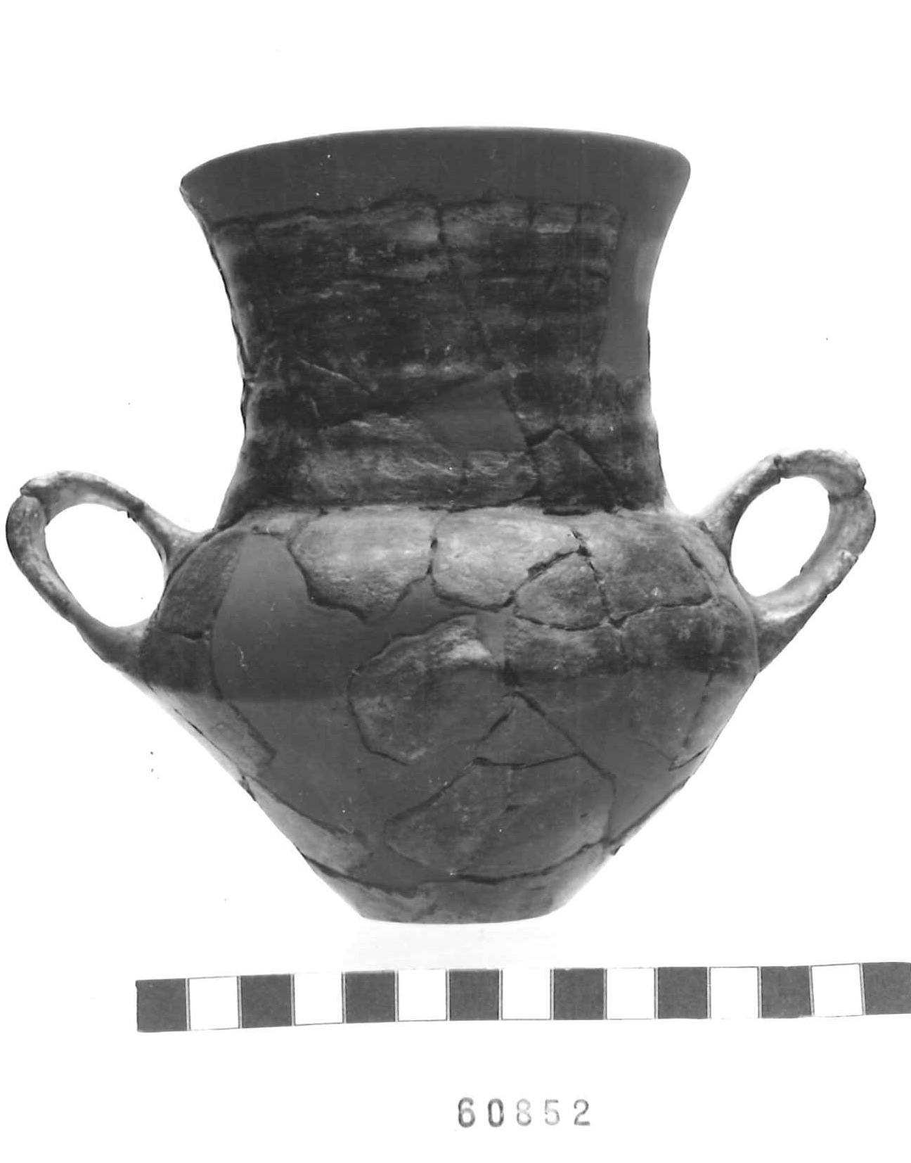anforetta, tipo "Moie" - Piceno III (secc. VII-VI a.C)