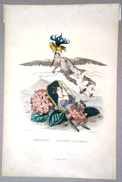 Ortensia Corona Imperiale, Napoleone e l'isola d'Elba (stampa) di Geoffroy Charles (prima metà sec. XIX)