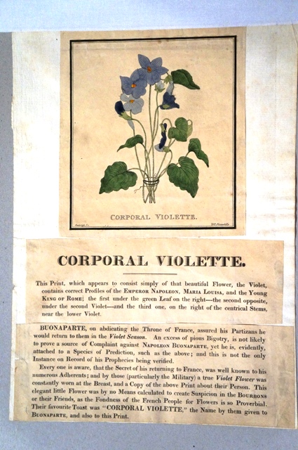 Corporale violetta, Napoleone (stampa) di Radcliffe (primo quarto sec. XIX)
