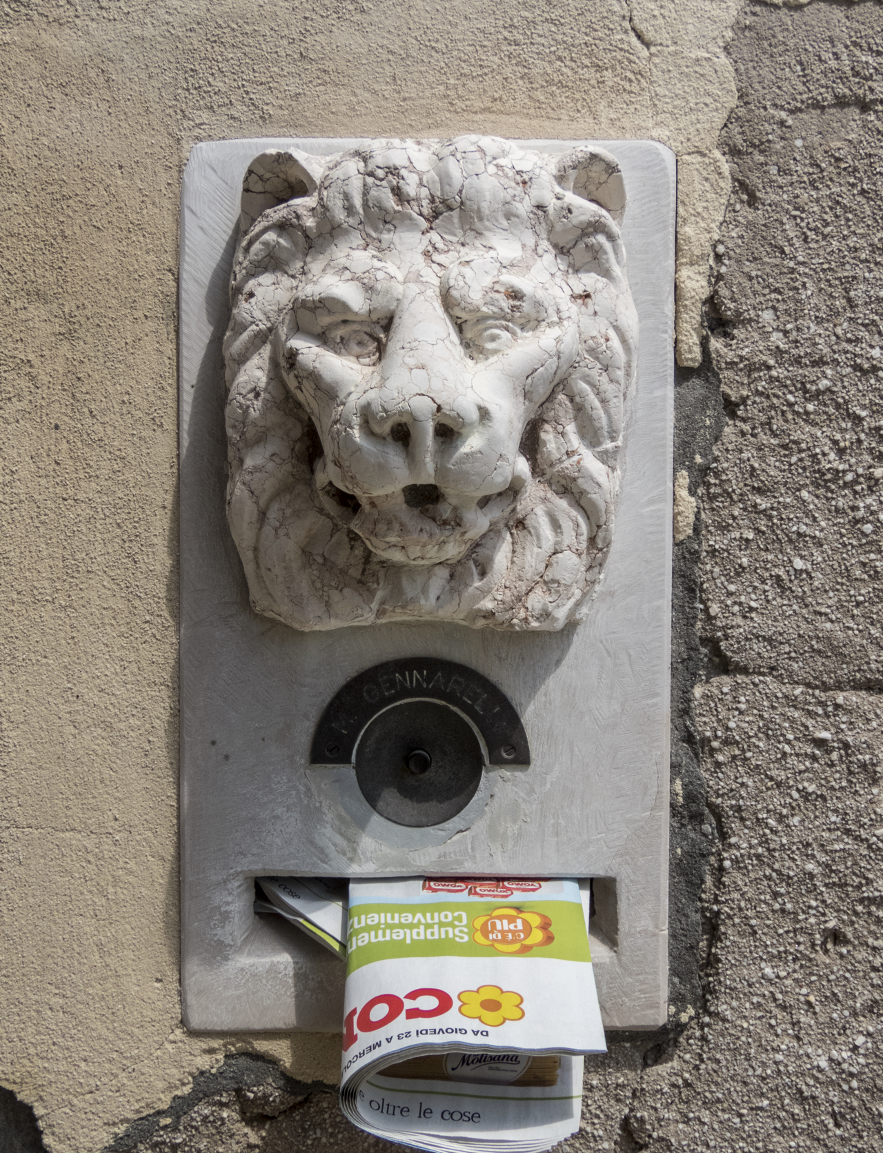 testa di leone (scultura, opera isolata) - ambito veneziano (secc. XIX-XX)