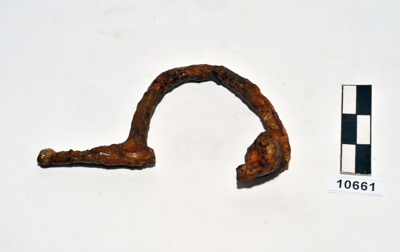 fibula/ ad arco ingrossato (IV a.C)