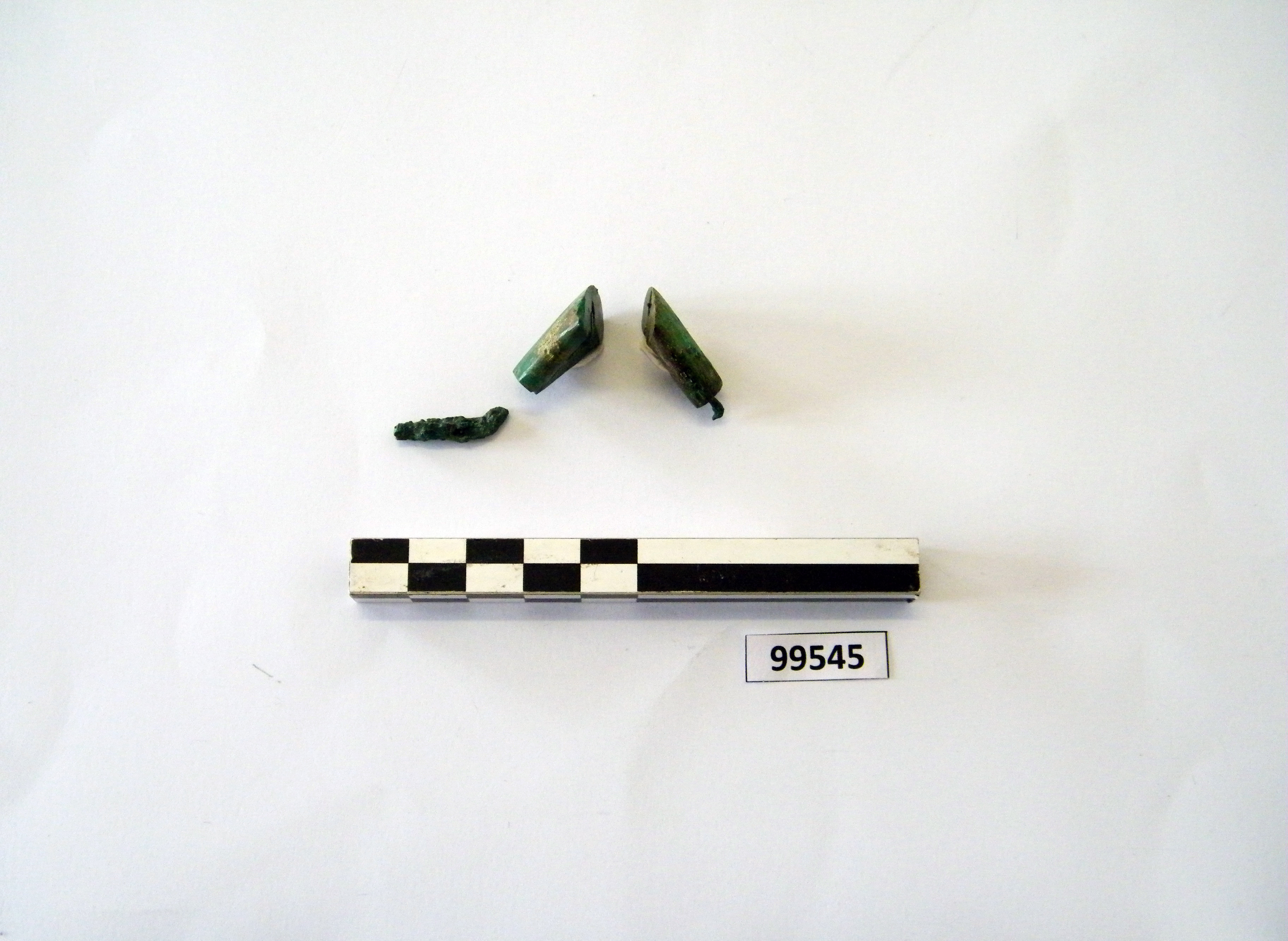 fibula/ frammenti, ad arco rivestito (sec. VI a.C)
