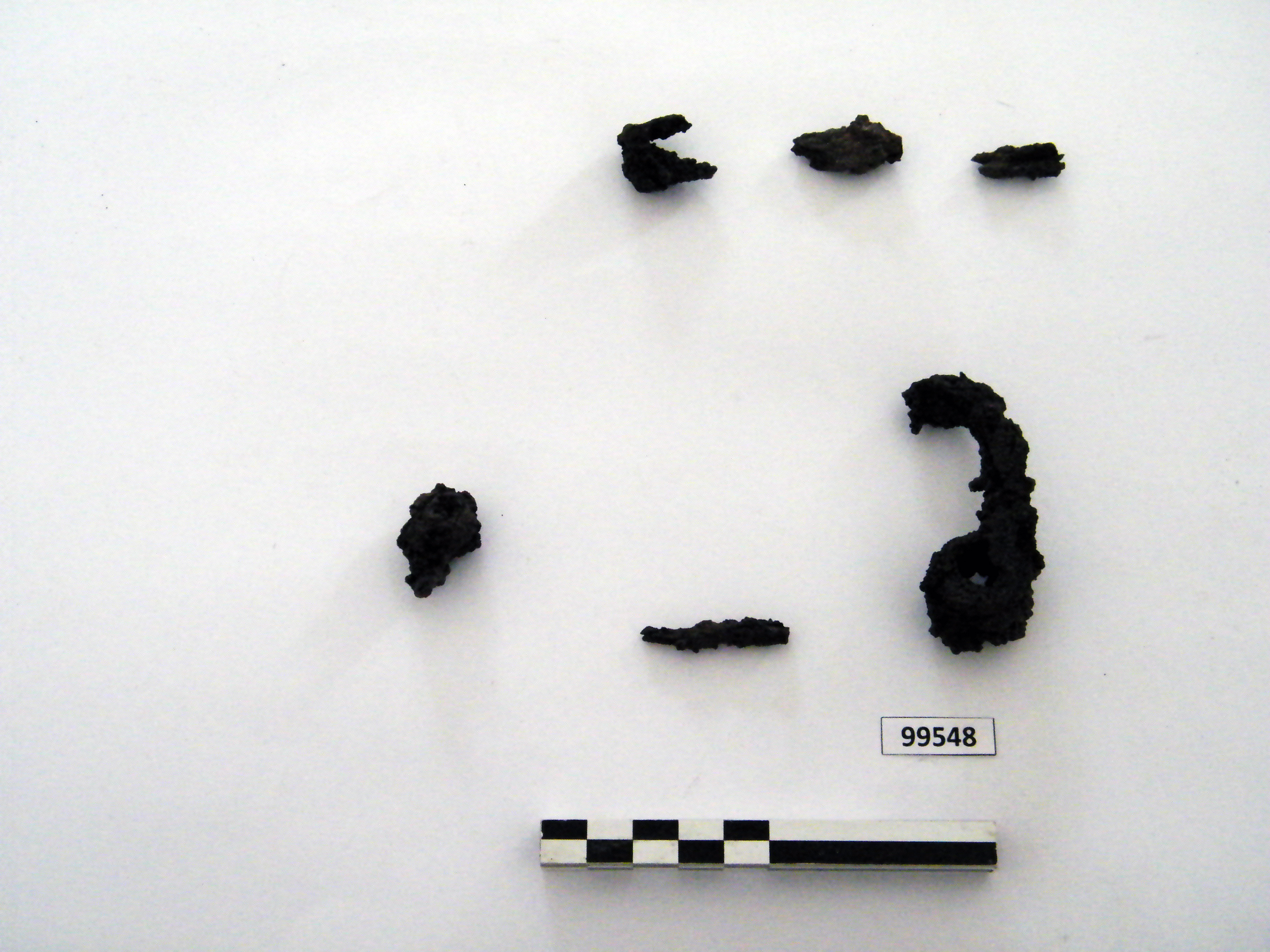 fibula/ frammenti, a due gobbe (sec. VI a.C)