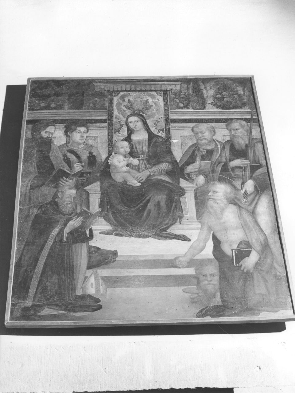 Madonna con Bambino e Santi (dipinto) - ambito fiorentino (prima metà sec. XVI)