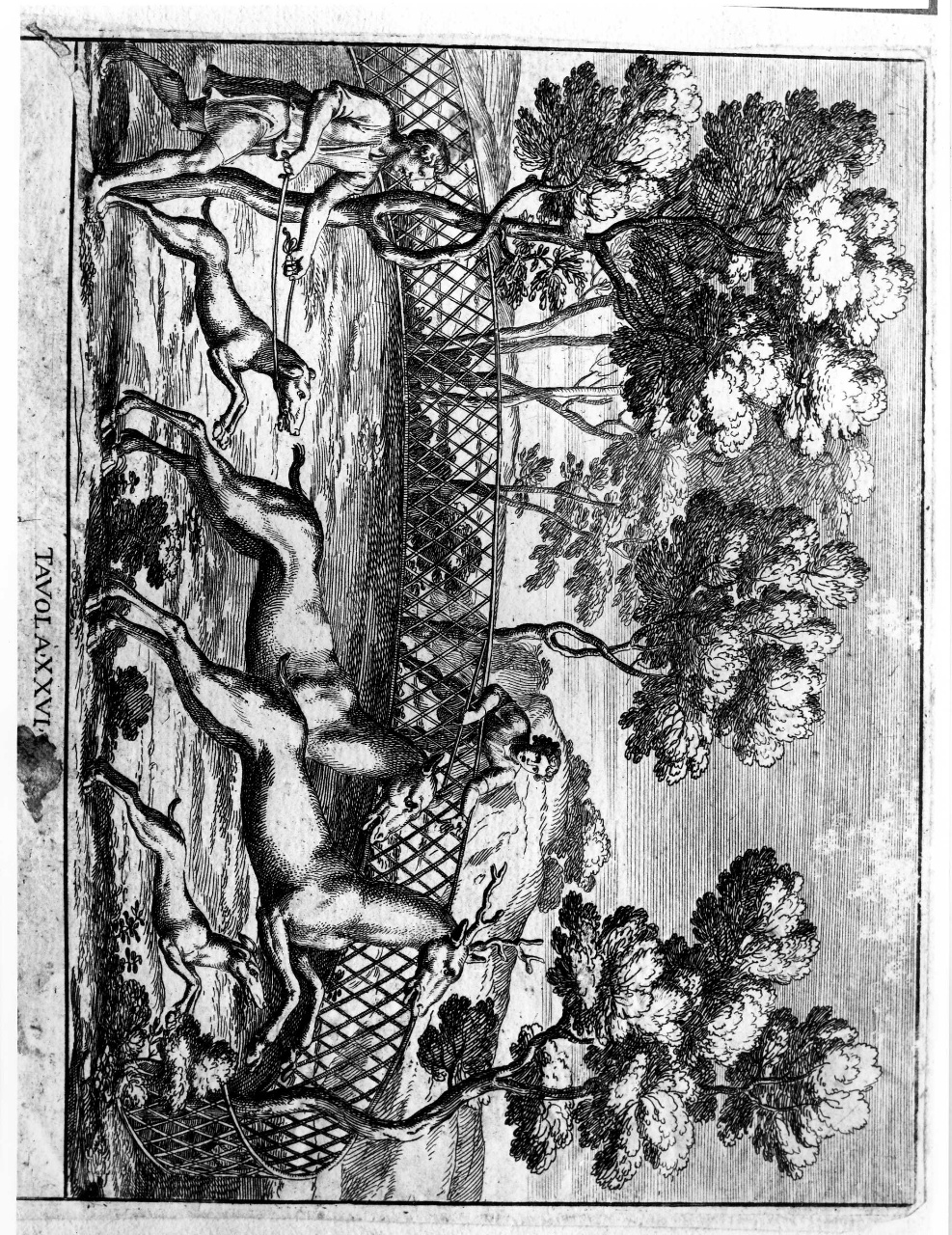 caccia al cervo (stampa) di Bartoli Pietro Santi, Bartoli Francesco (sec. XVIII)