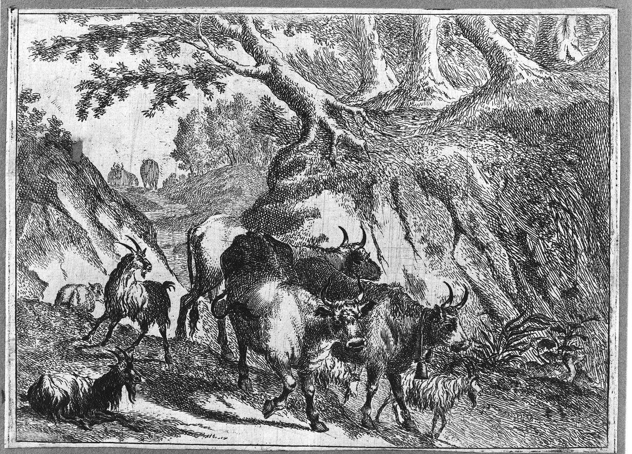 paesaggio con animali (stampa smarginata) - ambito olandese (seconda metà sec. XVII)