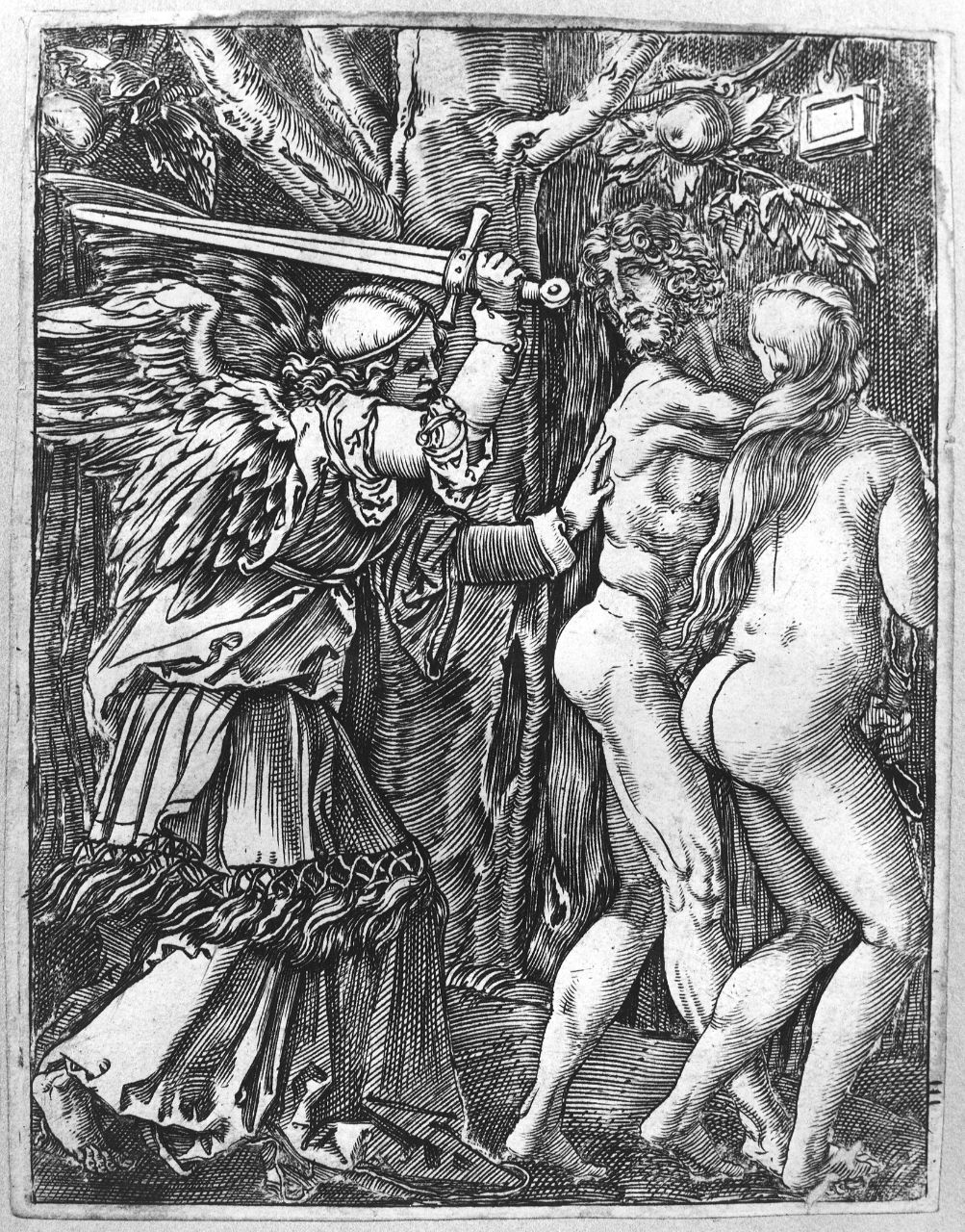 cacciata di Adamo ed Eva dal paradiso terrestre (stampa) di Dürer Albrecht, Raimondi Marcantonio (sec. XVI)