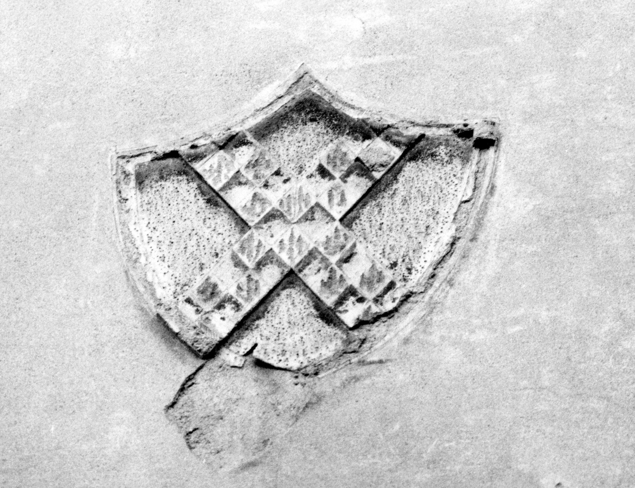 stemma gentilizio della famiglia Fioravanti (decorazione a graffito) - manifattura toscana (inizio sec. XX)