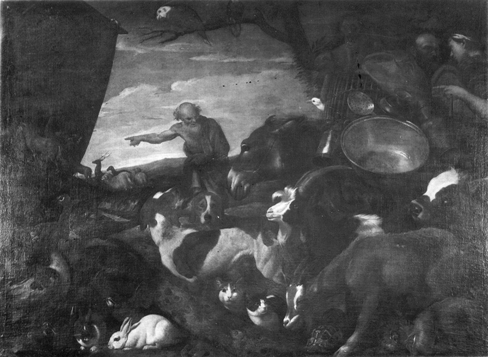 Castiglione, Giovanni Benedetto. Entrata nell'arca - Genova - Museo dell’Accademia Ligustica di Belle Arti (negativo) di Foto cresta (prima metà XIX)