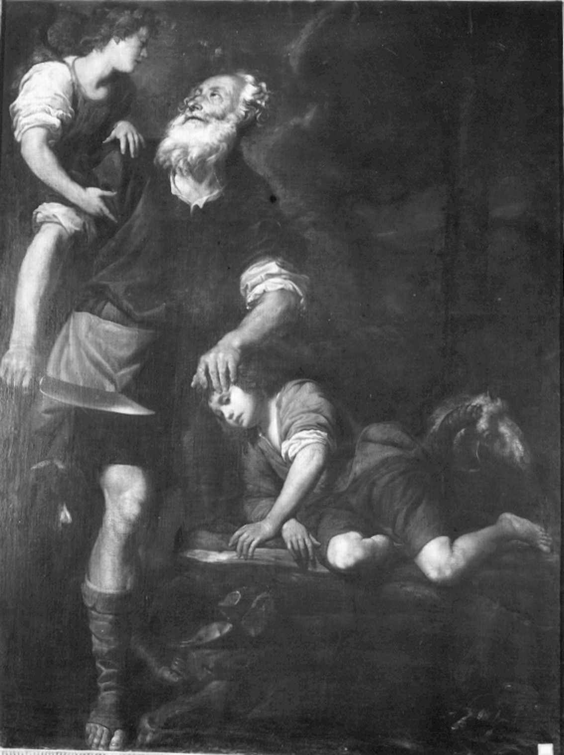 Fiasella, Domenico. Sacrificio di Isacco - Museo dell’Accademia Ligustica di Belle Arti (negativo) di Foto cresta (prima metà XIX)