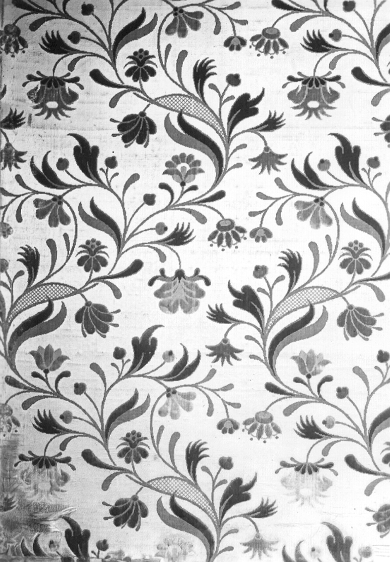 Autore ignoto. Tessuto, velluto tipo giardinetto (particolare) - Genova - Museo di Palazzo Reale (negativo) di Foto Cresta (prima metà XX)