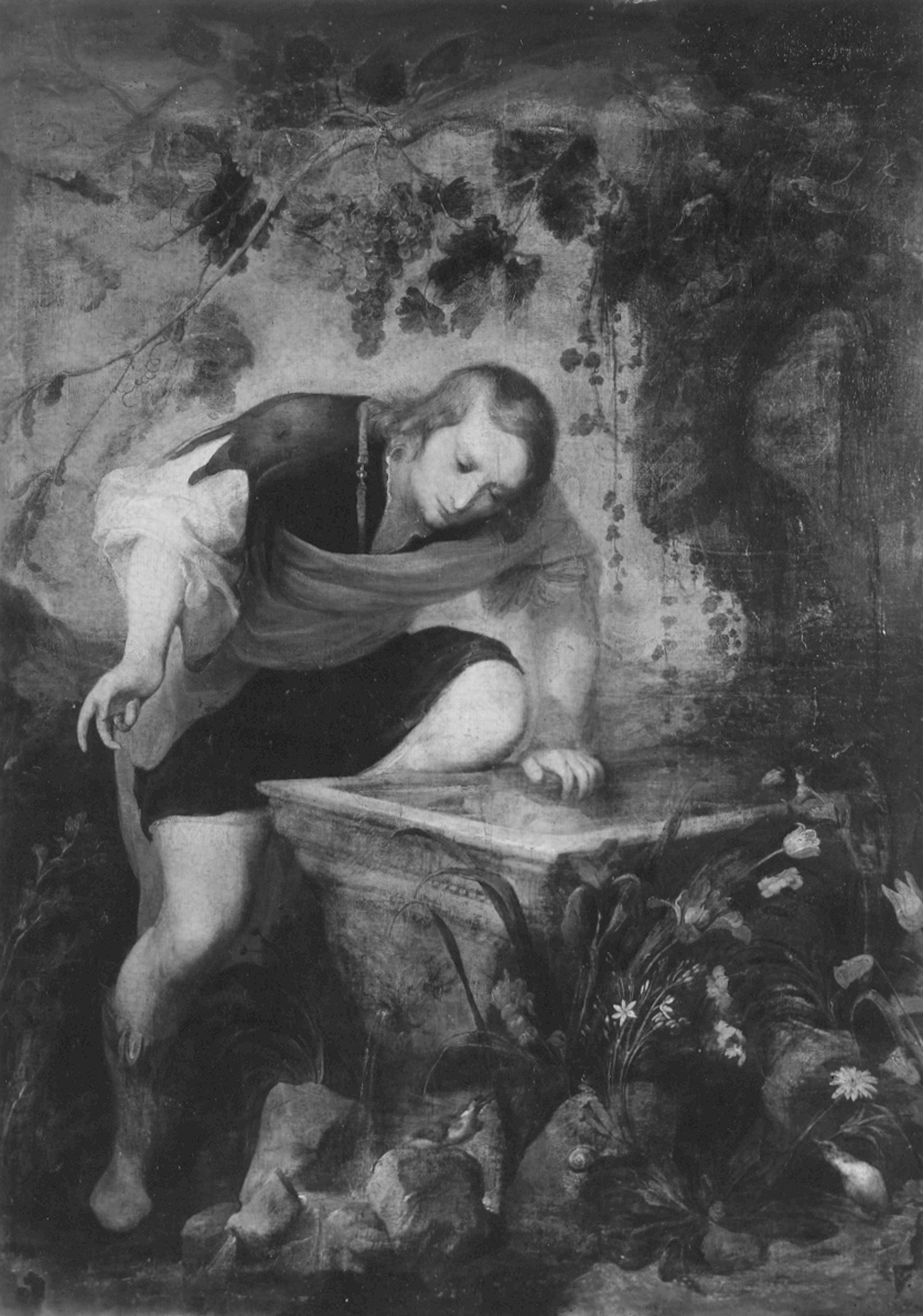 Roos, Jan. Narciso alla fonte - Genova - Museo di Palazzo Reale (negativo) di Foto Cresta (prima metà XX)