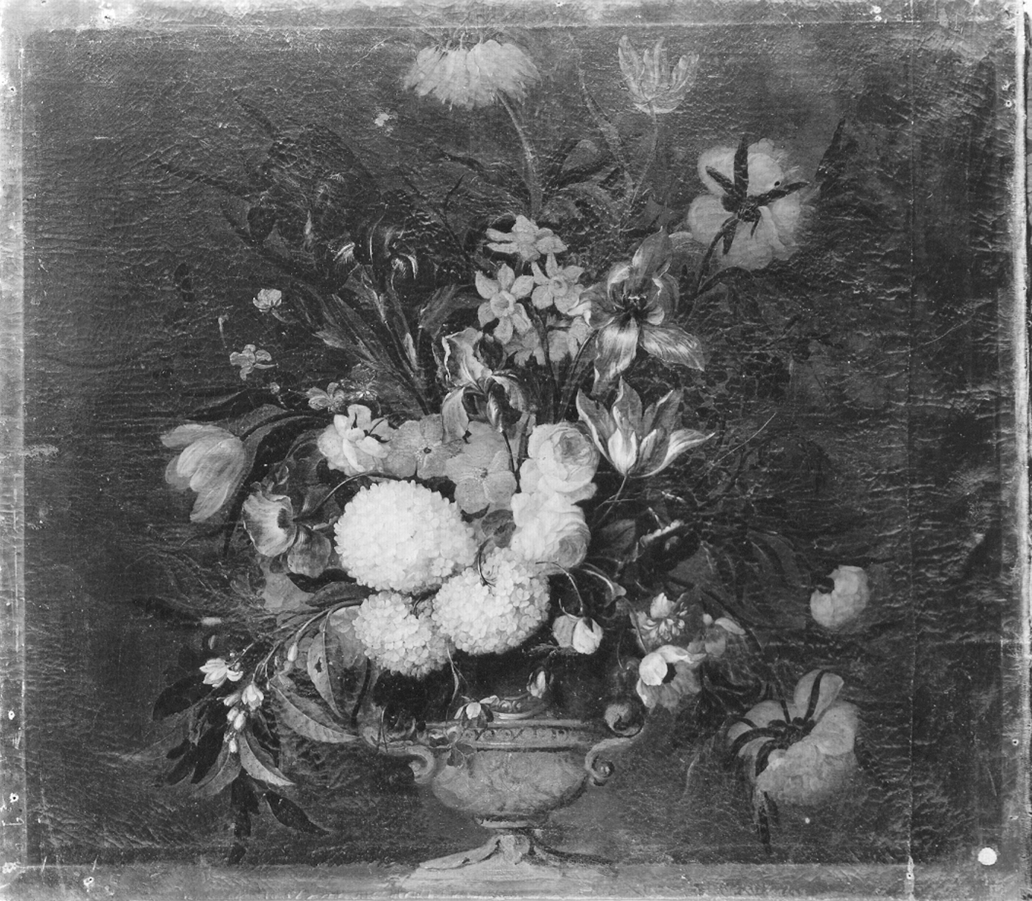 Revelli, Giovanni Battista (?). Vaso di fiori - Genova - Museo di Palazzo Reale (negativo) di Foto Cresta (prima metà XX)