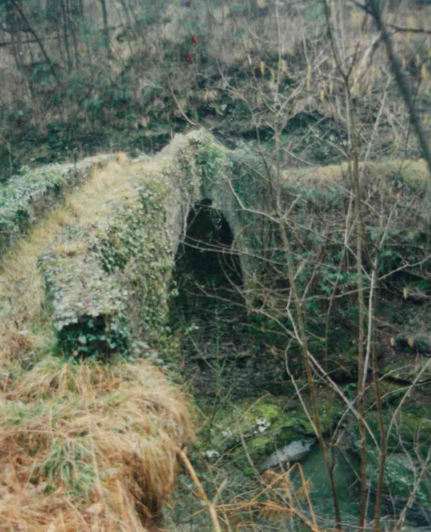 Ponte di Celesia (ponte, medioevale) - San Colombano Certenoli (GE)  (XIV)